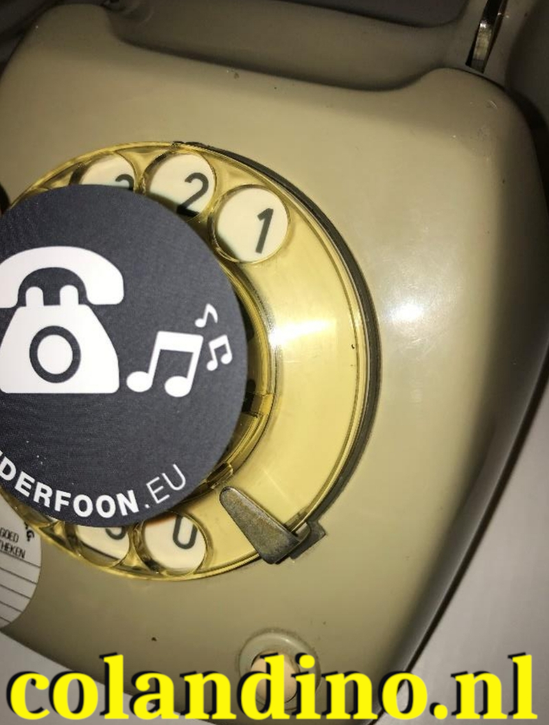 Schroef de kiesschijf weer vast en plak de stikker op de kiesschijf.